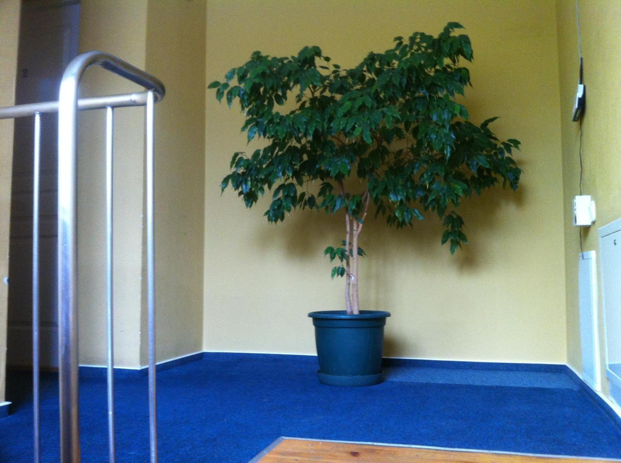 פלאנגה Info Hotel Apartments מראה חיצוני תמונה
